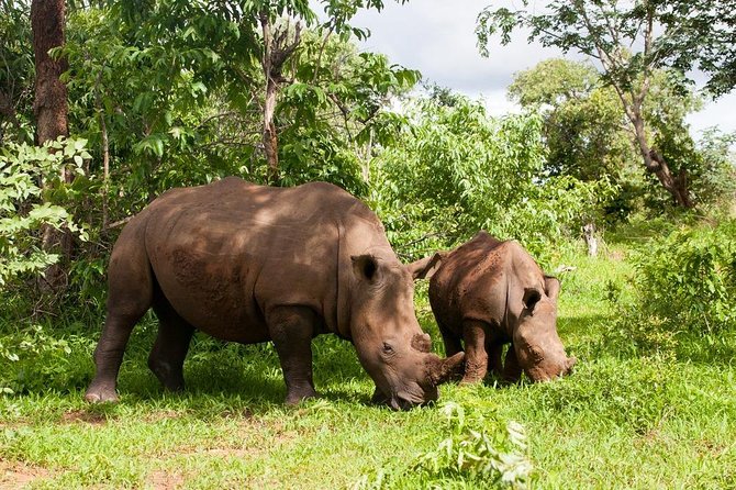Game Drive in Mosi-Oa-Tunya National Park - Frequently Asked Questions
