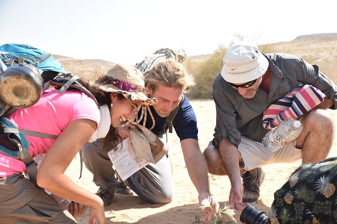 GoKedem 5-Day Private All-Inclusive Cross-Israel Adventure - Booking Confirmation