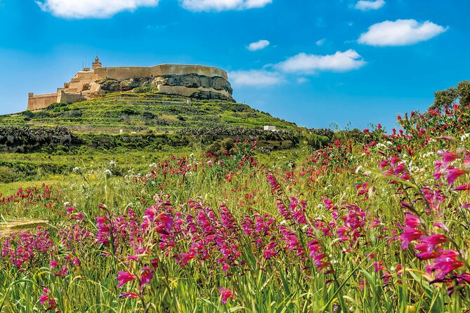 Gozo Full-Day Group Coach Tour Including Lunch and Transfers - Pickup Details