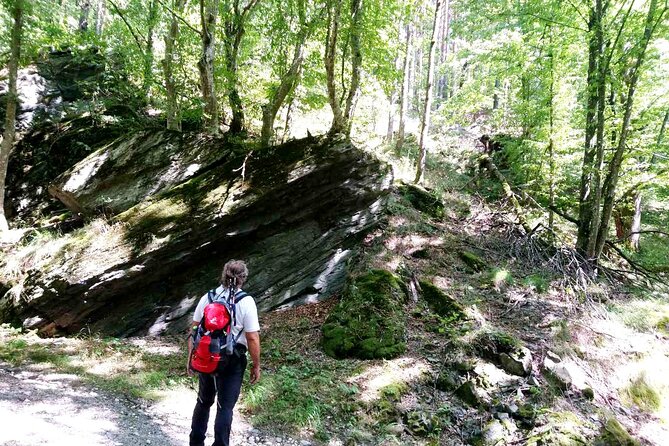 Guided Balkan Deep Forest Tour - What To Expect and Traveler Info