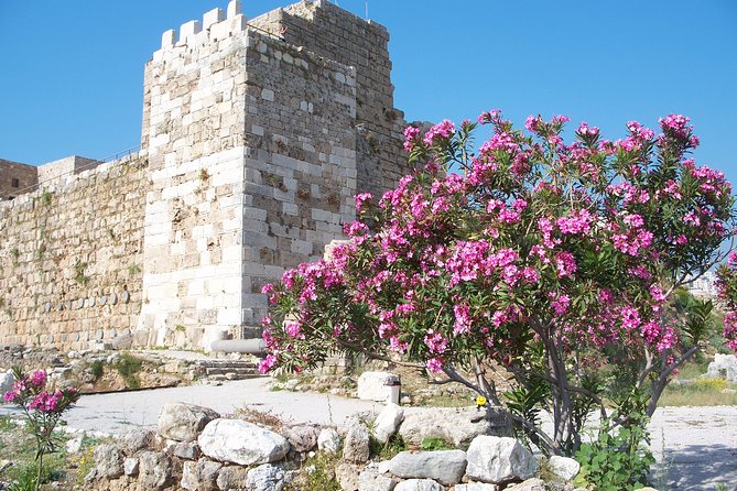 Guided Full-Day Private Tour to Jeita Grotto, Byblos and Baalbek - Reviews