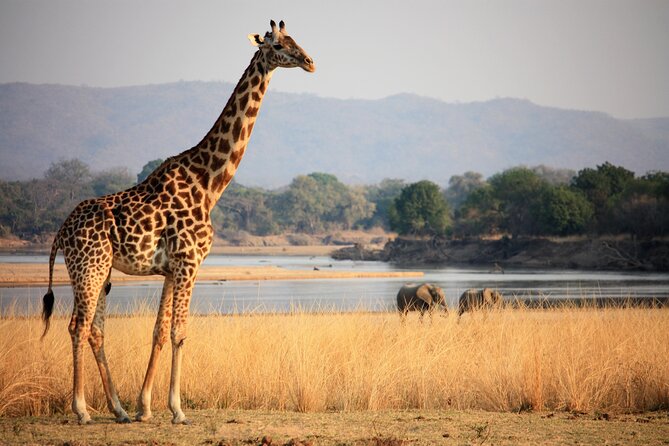 Guided Safari Tour, Lodging & Meals, S. Luangwa National Park by Landcruiser 4x4 - Cancellation Policy