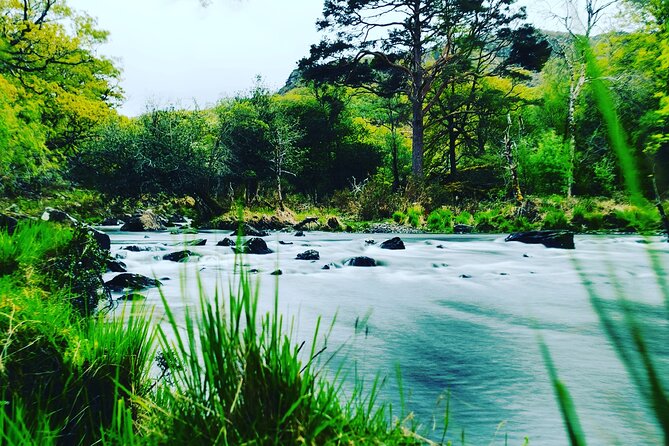 Guided Tour in Ring of Kerry - Additional Recommendations