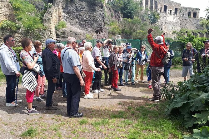 Guided Tour of Pompeii Ruins With Transfer Service - Accessibility Information