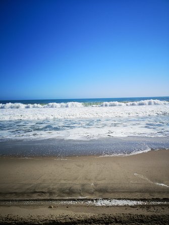 Half Day Kayaking Adventure in Walvis Bay - Directions