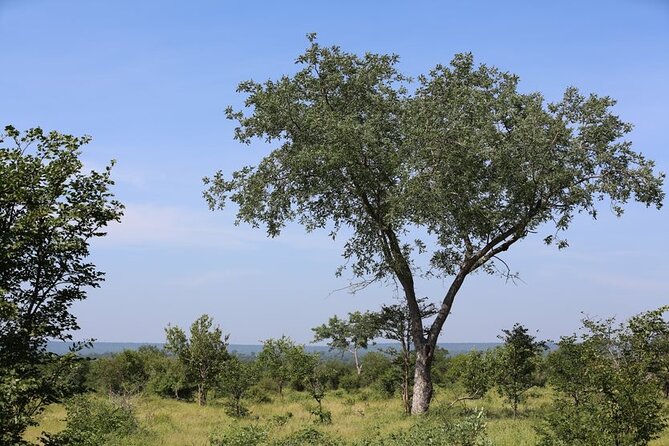 Half-Day Nature Walk in Mosi-Oa-Tunya National Park From Livingstone - Cancellation Policy
