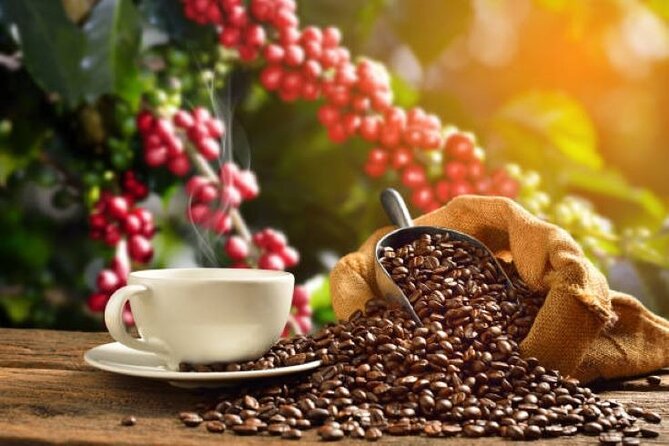 Half-Day Private Fairview Estate Coffee Farm Tour With Pick up - Customer Reviews