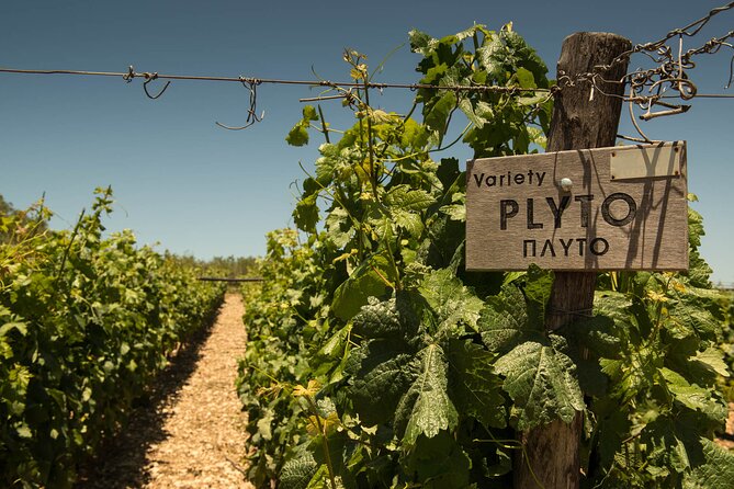 Half-Day Private Tour in Two Wineries and Archanes From Heraklion - Archanes Exploration
