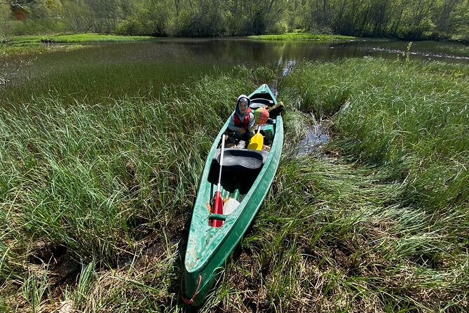 Half Day Private Walking Tour in Estonia Wilderness - Pricing and Booking