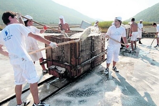 Half-Day Private Wine and Oyster Tasting Tour in The City of Ston - Cancellation Policy