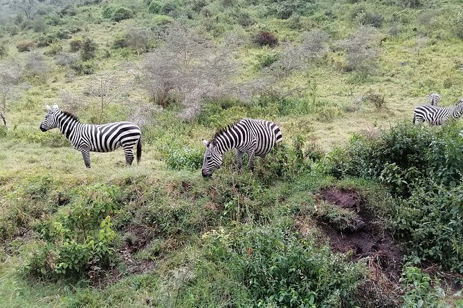 Hells Gate National Park Private Bike Tour From Nairobi - Frequently Asked Questions