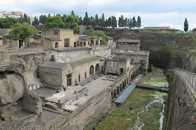 Herculaneum Ancient City (Tour + Transfer) - Pickup/Drop-off Service