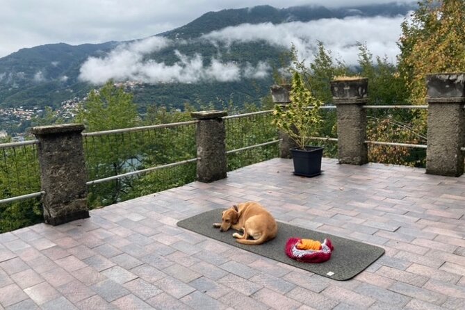 Hike in Blevio's Forest for a Private Yoga Class - Inclusions: Coffee, Tea, Snacks