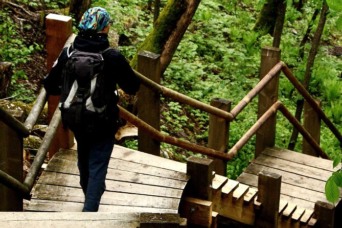 Hiking Adventure in Sigulda and Latvian Food Tasting - Explore Turaida Castle and Folk Park