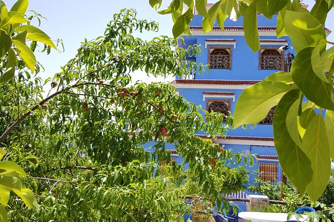Hiking Arround Chefchaouen and Talassemtane Park With Berber Villages Visit - Reviews and Testimonials