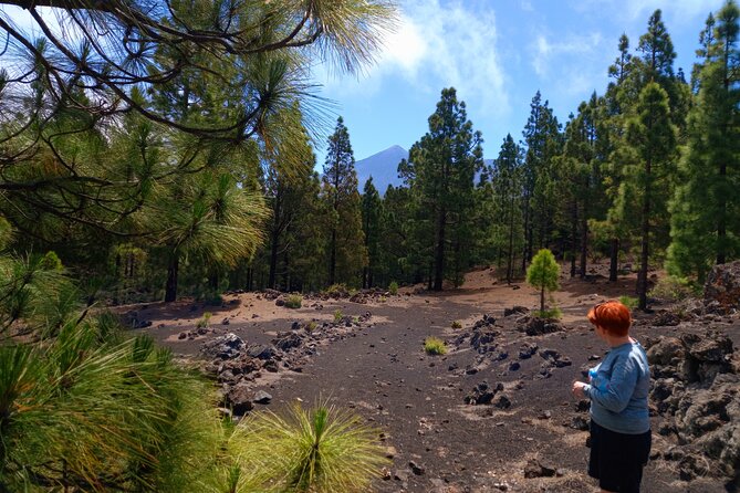 Hiking Classic Tenerife - Meeting Point and Time