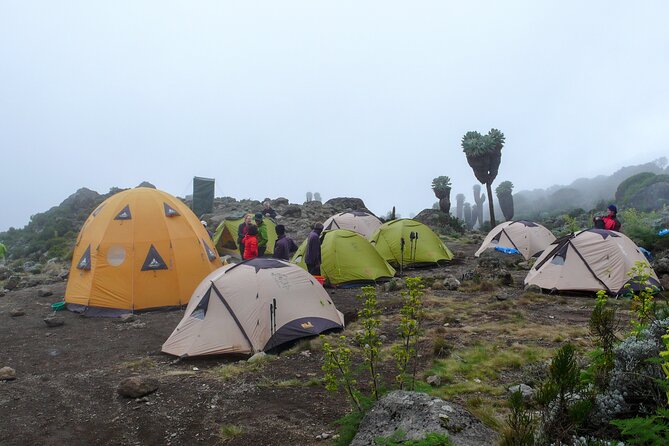 Hiking Mt Kilimanjaro 7 Days Scenic Route & Moderate Challenge - Frequently Asked Questions
