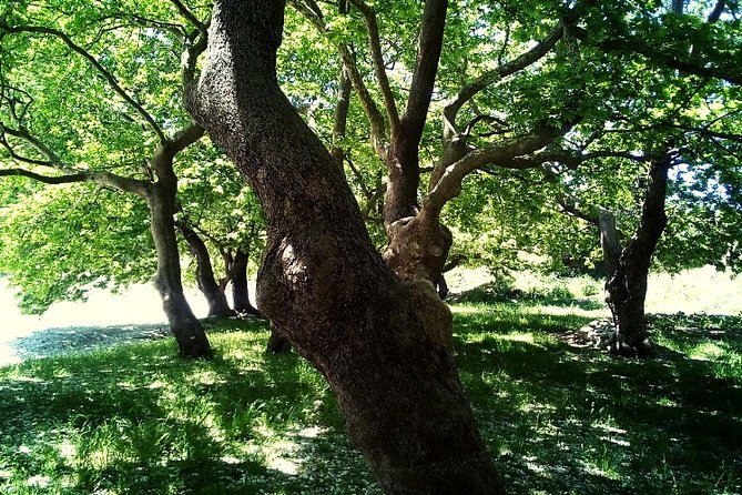Hiking Tour to the Ancient Monastery of Kameno - Inclusions