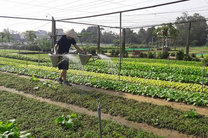 Hoi an Countryside Biking Tour(Vegetable Village -Basket Boat - Fishing Village) - Timing Options