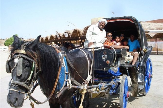 Horse Carriage Ride in Aswan - Experience the Charm of Aswan