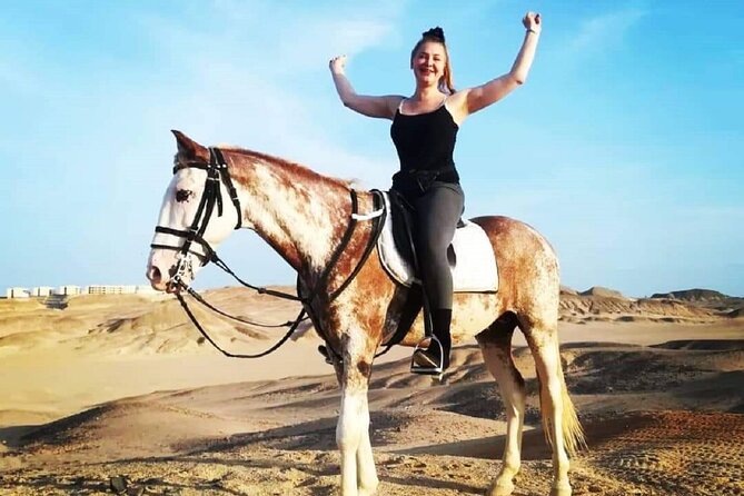 Horse Ride Trip 1 Hour and Bedouin Dinner, Egyptian Show - Sharm El Sheikh - Cancellation Policy and Weather Conditions