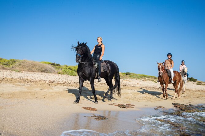 Horse Riding in Mallorca on the Beach - Review Summary