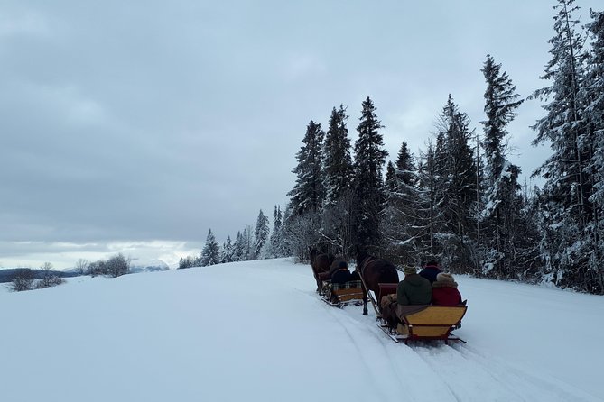 Horse Sleigh Ride in the Countyside and Thermal Pools in One Day, Private Tour - Booking Information
