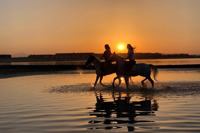 Horseback Or Camel Riding One Hour With Transfer - Sharm El Sheikh - Hotel Transfers