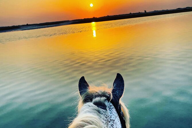 Horseback Riding at Sunrise 3h - Reviews