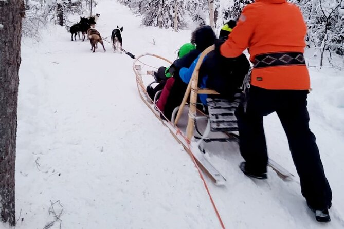 Husky Sledding Ride in Levi 5 KM - Cancellation and Weather Policies