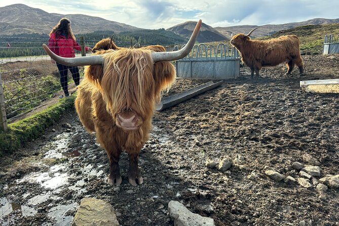 Isle of Skye Highlights - Bespoke Private Tour for up to 7 Guests - Pickup Details