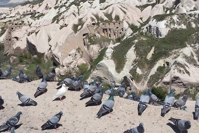 Istanbul 03Days & Cappadocia 02 D - 5 Days Tour Included 2 Domestic Flight - The Sum Up