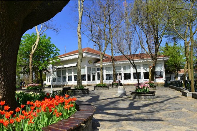 Istanbul Day Bosphorus Cruise, Dolmabace Palace and Asian Side Tour - Tour Inclusions