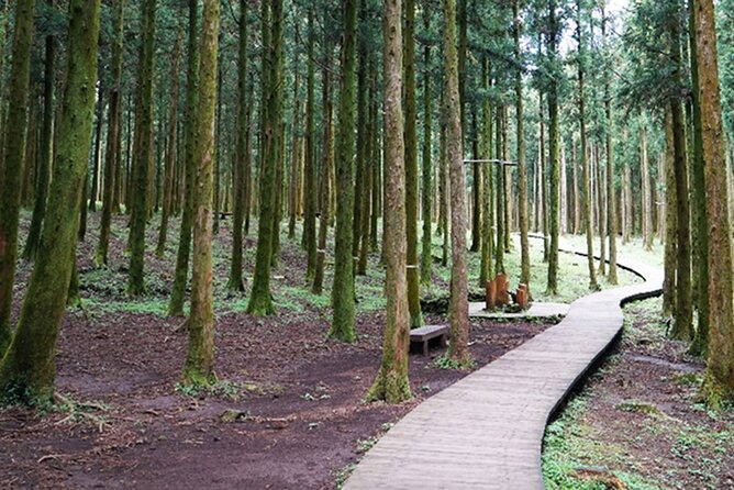 Jeju Island East UNESCO Day Tour With Lunch Included - UNESCO Sites Visited