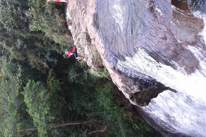 Kandy Waterfalls Day Tour - Pricing Information