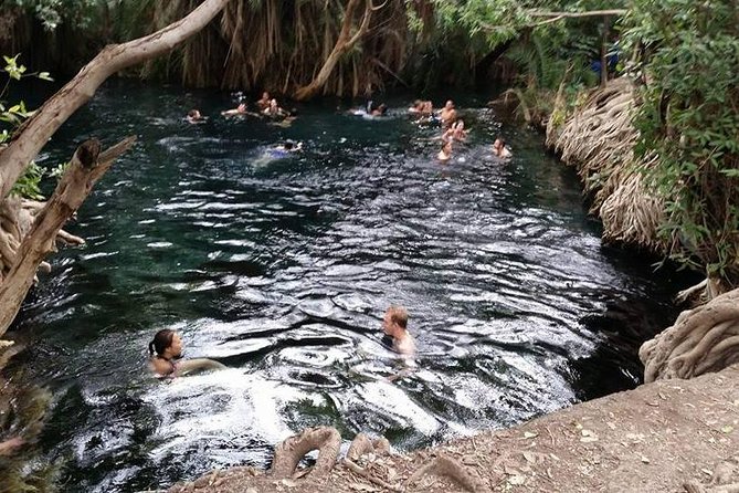Kikuletwa (Chemka) Hot Springs Day Tour - Accessibility Information