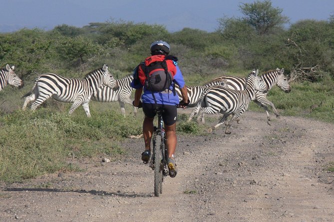 Kilimanjaro 360 - Customer Reviews