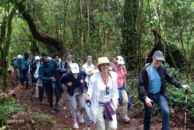Kilimanjaro Excursion 6 Days Marangu Route - The Sum Up