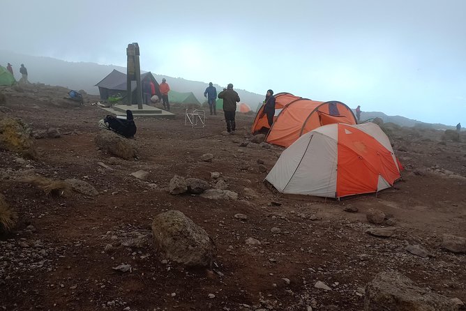 Kilimanjaro Experience 7 Days Lemosho Route - Reviews