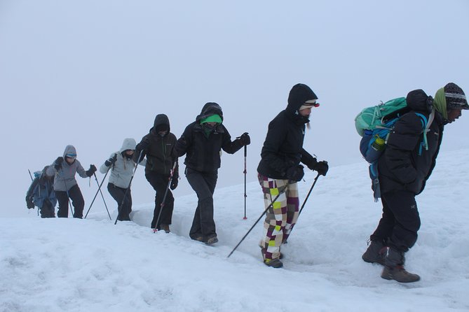Kilimanjaro Lemosho Route 8 Days - Customer Reviews