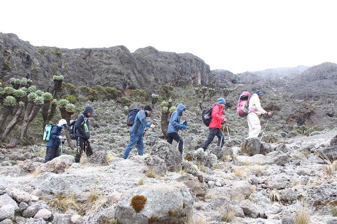 Kilimanjaro Machame Route 6 Days - Cancellation Policy and Pricing