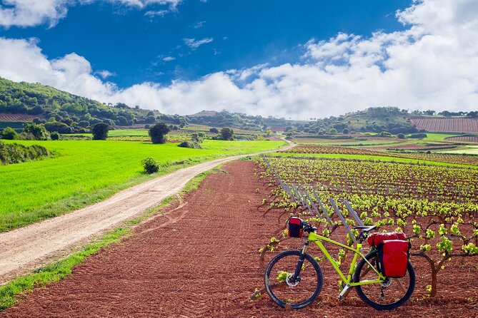 La Rioja Private Tour to 3 Wineries With Wine Tasting - The Sum Up