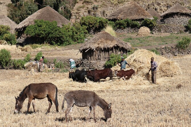 Lalibela 2-Day Eco Trekking Tour - Booking Information