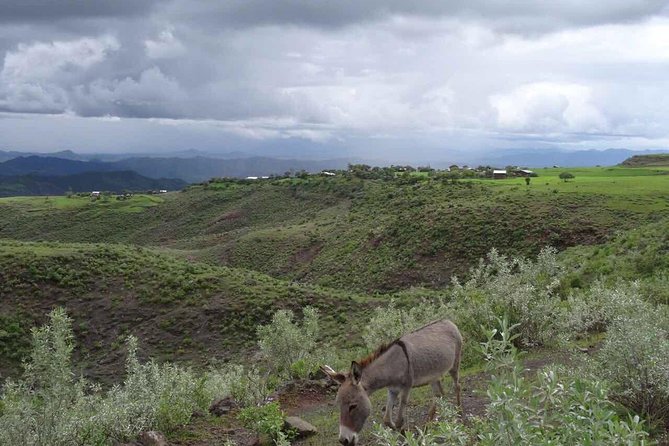 Lalibela Churches Guided Tour - Final Thoughts