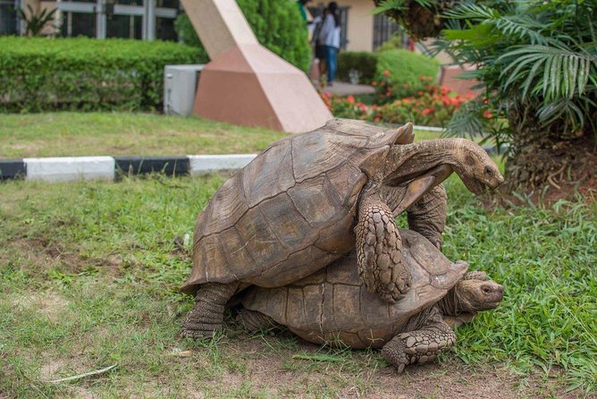 Lekki Conservation Center Extraordinary Tour - Operating Hours