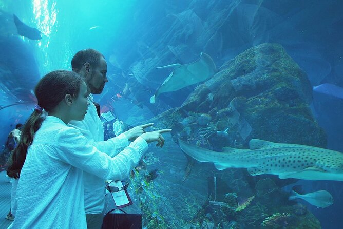 Lost Chamber Aquarium Entry Ticket With Private Transfer in Dubai - Booking Details