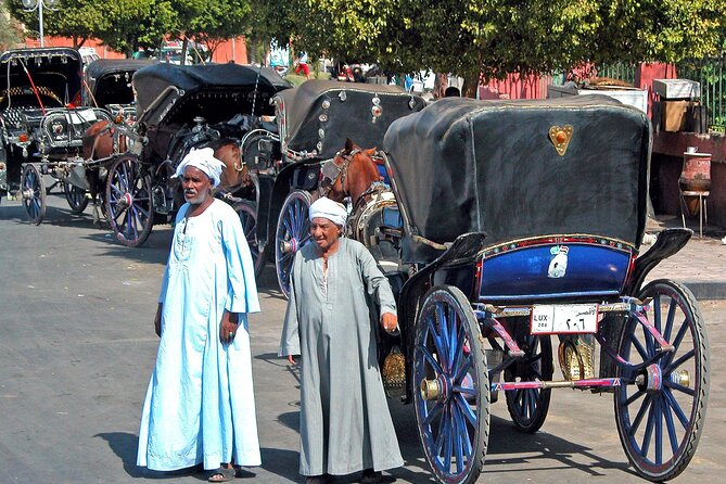 Luxor City Horse Carriage Tour: Dine and Discover - Customer Reviews & Testimonials