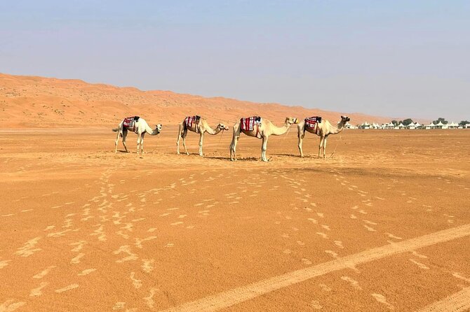 Luxury Sunset Desert Safari - Cancellation Policy Details