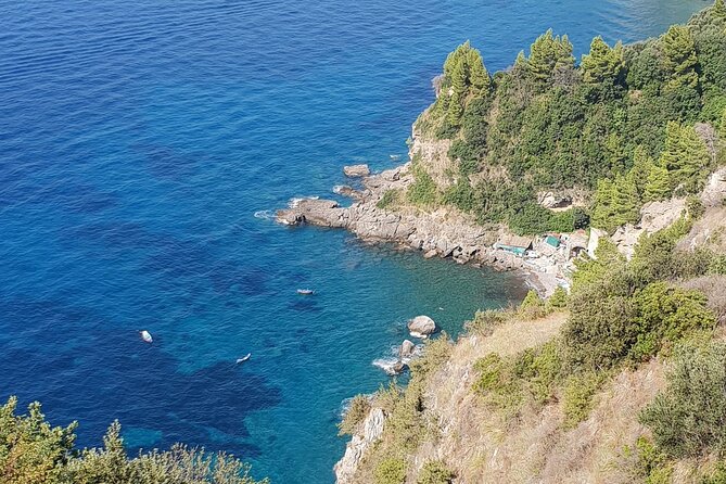 Luxury Transfer From Rome to Napoli - The Sum Up