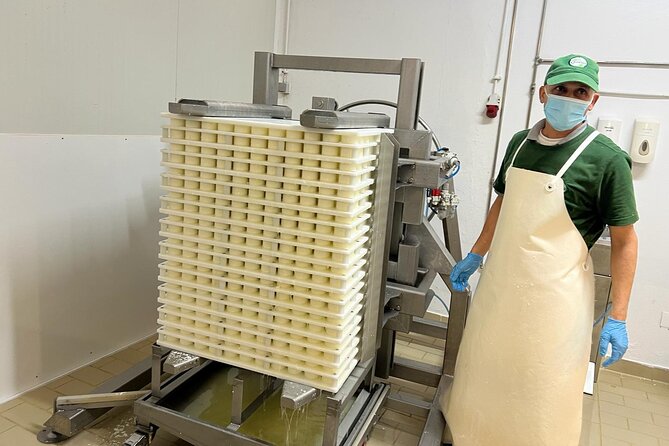 Madeira Cheese Tasting and Tea Tour - Reviews